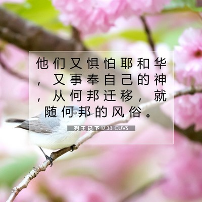 Picture 07 - 列 王 记 下 17:33 CUVS - 他 们 又 惧 怕 耶 和 华 ， 又 事 奉 - Bible Verse Picture