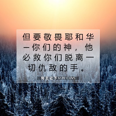 Picture 07 - 列 王 记 下 17:39 CUVS - 但 要 敬 畏 耶 和 华 ─ 你 们 的 神 - Bible Verse Picture