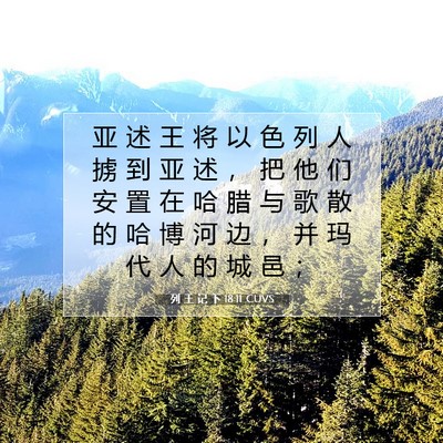 Picture 07 - 列 王 记 下 18:11 CUVS - 亚 述 王 将 以 色 列 人 掳 到 亚 述 - Bible Verse Picture
