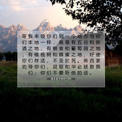 Picture 07 - 列 王 记 下 18:32 CUVS - 等 我 来 领 你 们 到 一 个 地 方 与 - Bible Verse Picture