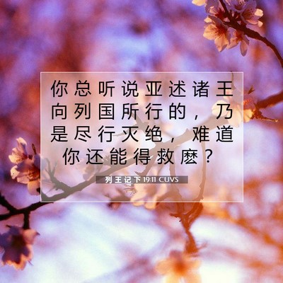 Picture 07 - 列 王 记 下 19:11 CUVS - 你 总 听 说 亚 述 诸 王 向 列 国 所 - Bible Verse Picture