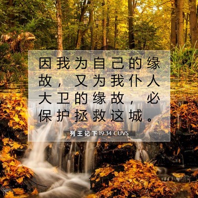 Picture 07 - 列 王 记 下 19:34 CUVS - 因 我 为 自 己 的 缘 故 ， 又 为 我 - Bible Verse Picture