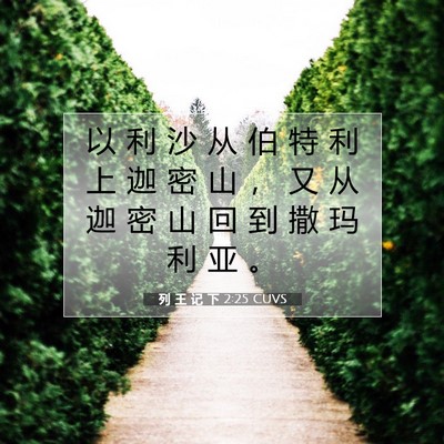 Picture 07 - 列 王 记 下 2:25 CUVS - 以 利 沙 从 伯 特 利 上 迦 密 山 ， - Bible Verse Picture