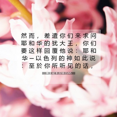 Picture 07 - 列 王 记 下 22:18 CUVS - 然 而 ， 差 遣 你 们 来 求 问 耶 和 - Bible Verse Picture