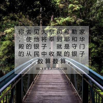 Picture 07 - 列 王 记 下 22:4 CUVS - 你 去 见 大 祭 司 希 勒 家 ， 使 他 - Bible Verse Picture