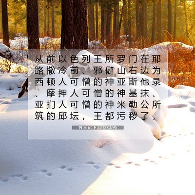 Picture 07 - 列 王 记 下 23:13 CUVS - 从 前 以 色 列 王 所 罗 门 在 耶 路 - Bible Verse Picture