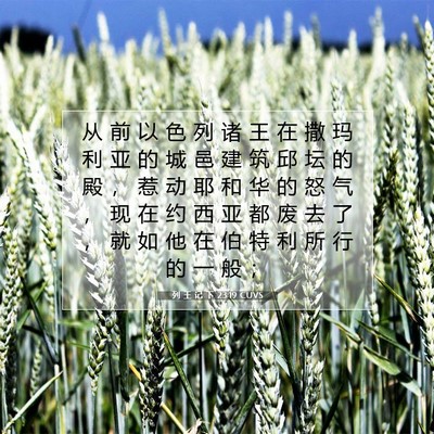 Picture 07 - 列 王 记 下 23:19 CUVS - 从 前 以 色 列 诸 王 在 撒 玛 利 亚 - Bible Verse Picture