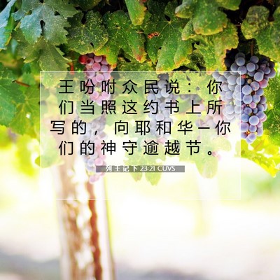 Picture 07 - 列 王 记 下 23:21 CUVS - 王 吩 咐 众 民 说 ： 你 们 当 照 这 - Bible Verse Picture