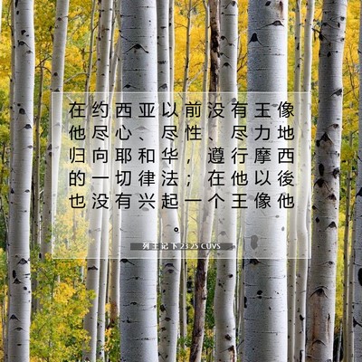 Picture 07 - 列 王 记 下 23:25 CUVS - 在 约 西 亚 以 前 没 有 王 像 他 尽 - Bible Verse Picture