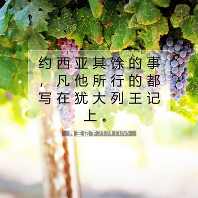 Picture 07 - 列 王 记 下 23:28 CUVS - 约 西 亚 其 馀 的 事 ， 凡 他 所 行 - Bible Verse Picture