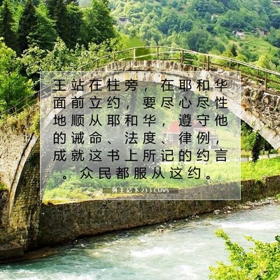 Picture 07 - 列 王 记 下 23:3 CUVS - 王 站 在 柱 旁 ， 在 耶 和 华 面 前 - Bible Verse Picture