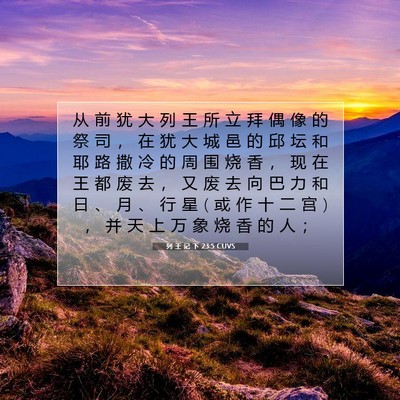 Picture 07 - 列 王 记 下 23:5 CUVS - 从 前 犹 大 列 王 所 立 拜 偶 像 的 - Bible Verse Picture