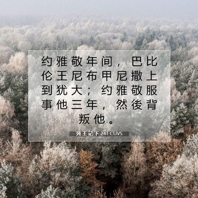 Picture 07 - 列 王 记 下 24:1 CUVS - 约 雅 敬 年 间 ， 巴 比 伦 王 尼 布 - Bible Verse Picture
