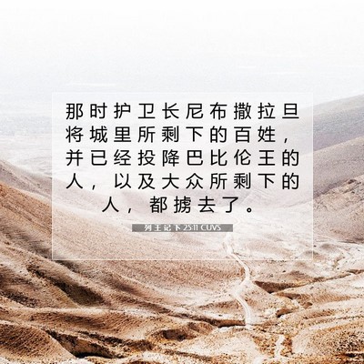Picture 07 - 列 王 记 下 25:11 CUVS - 那 时 护 卫 长 尼 布 撒 拉 旦 将 城 - Bible Verse Picture