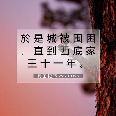 Picture 07 - 列 王 记 下 25:2 CUVS - 於 是 城 被 围 困 ， 直 到 西 底 家 - Bible Verse Picture