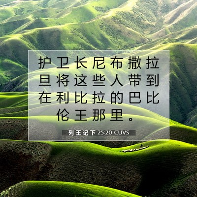 Picture 07 - 列 王 记 下 25:20 CUVS - 护 卫 长 尼 布 撒 拉 旦 将 这 些 人 - Bible Verse Picture
