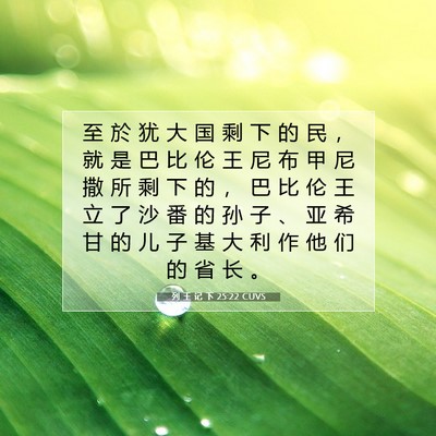 Picture 07 - 列 王 记 下 25:22 CUVS - 至 於 犹 大 国 剩 下 的 民 ， 就 是 - Bible Verse Picture