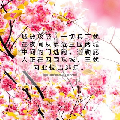 Picture 07 - 列 王 记 下 25:4 CUVS - 城 被 攻 破 ， 一 切 兵 丁 就 在 夜 - Bible Verse Picture