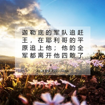 Picture 07 - 列 王 记 下 25:5 CUVS - 迦 勒 底 的 军 队 追 赶 王 ， 在 耶 - Bible Verse Picture