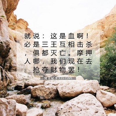 Picture 07 - 列 王 记 下 3:23 CUVS - 就 说 ： 这 是 血 啊 ！ 必 是 三 王 - Bible Verse Picture