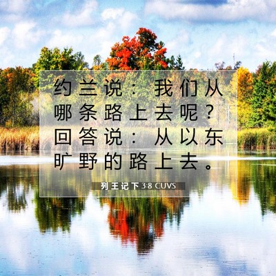 Picture 07 - 列 王 记 下 3:8 CUVS - 约 兰 说 ： 我 们 从 哪 条 路 上 去 - Bible Verse Picture