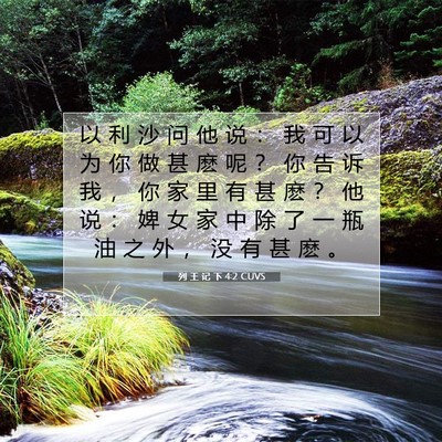Picture 07 - 列 王 记 下 4:2 CUVS - 以 利 沙 问 他 说 ： 我 可 以 为 你 - Bible Verse Picture