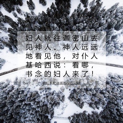 Picture 07 - 列 王 记 下 4:25 CUVS - 妇 人 就 往 迦 密 山 去 见 神 人 。 - Bible Verse Picture