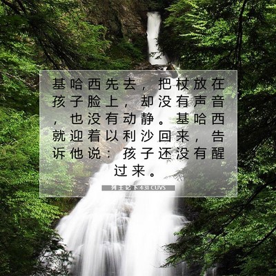 Picture 07 - 列 王 记 下 4:31 CUVS - 基 哈 西 先 去 ， 把 杖 放 在 孩 子 - Bible Verse Picture