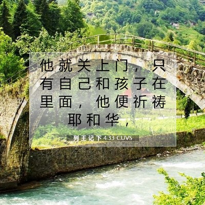 Picture 07 - 列 王 记 下 4:33 CUVS - 他 就 关 上 门 ， 只 有 自 己 和 孩 - Bible Verse Picture