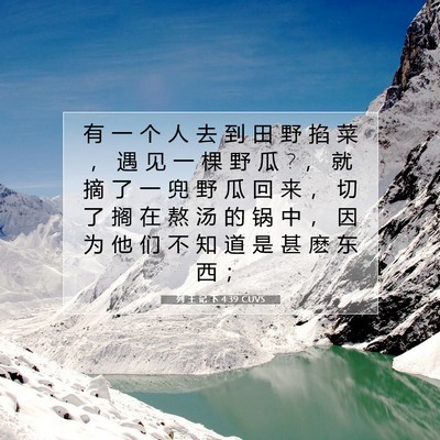 Picture 07 - 列 王 记 下 4:39 CUVS - 有 一 个 人 去 到 田 野 掐 菜 ， 遇 - Bible Verse Picture