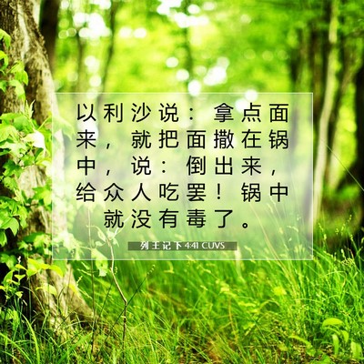 Picture 07 - 列 王 记 下 4:41 CUVS - 以 利 沙 说 ： 拿 点 面 来 ， 就 把 - Bible Verse Picture