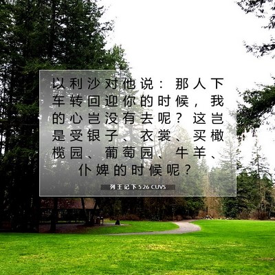 Picture 07 - 列 王 记 下 5:26 CUVS - 以 利 沙 对 他 说 ： 那 人 下 车 转 - Bible Verse Picture