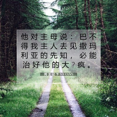 Picture 07 - 列 王 记 下 5:3 CUVS - 他 对 主 母 说 ： 巴 不 得 我 主 人 - Bible Verse Picture