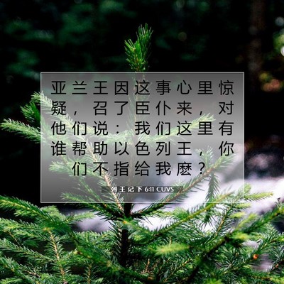 Picture 07 - 列 王 记 下 6:11 CUVS - 亚 兰 王 因 这 事 心 里 惊 疑 ， 召 - Bible Verse Picture