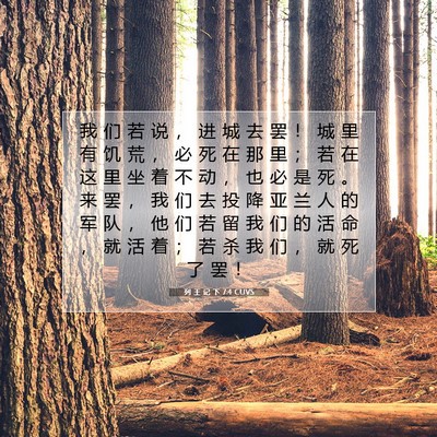 Picture 07 - 列 王 记 下 7:4 CUVS - 我 们 若 说 ， 进 城 去 罢 ！ 城 里 - Bible Verse Picture