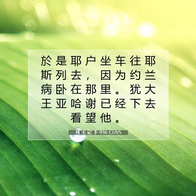 Picture 07 - 列 王 记 下 9:16 CUVS - 於 是 耶 户 坐 车 往 耶 斯 列 去 ， - Bible Verse Picture
