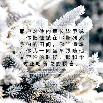 Picture 07 - 列 王 记 下 9:25 CUVS - 耶 户 对 他 的 军 长 毕 甲 说 ： 你 - Bible Verse Picture