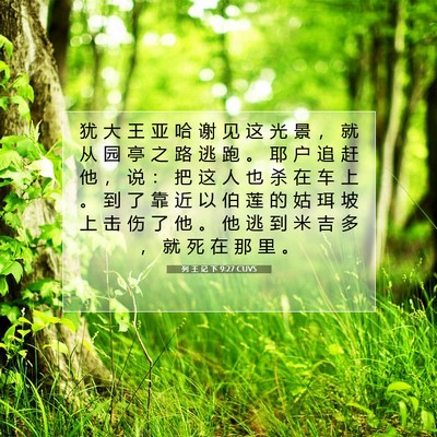 Picture 07 - 列 王 记 下 9:27 CUVS - 犹 大 王 亚 哈 谢 见 这 光 景 ， 就 - Bible Verse Picture