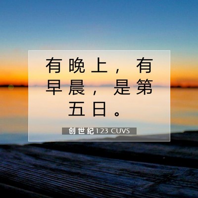 Picture 07 - 创 世 纪 1:23 CUVS - 有 晚 上 ， 有 早 晨 ， 是 第 五 日 - Bible Verse Picture