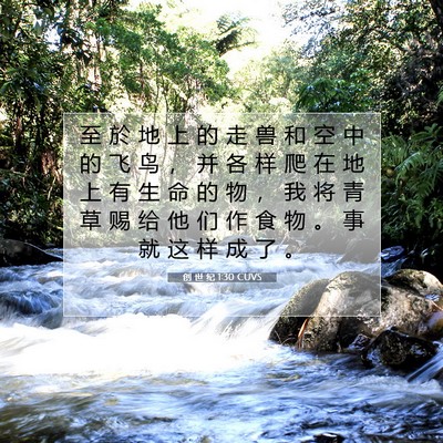 Picture 07 - 创 世 纪 1:30 CUVS - 至 於 地 上 的 走 兽 和 空 中 的 飞 - Bible Verse Picture