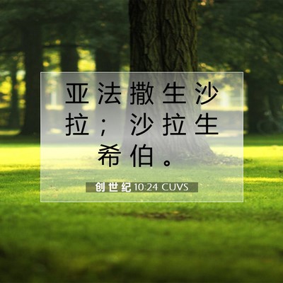 Picture 07 - 创 世 纪 10:24 CUVS - 亚 法 撒 生 沙 拉 ； 沙 拉 生 希 伯 - Bible Verse Picture