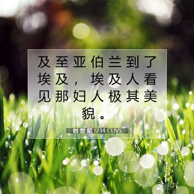 Picture 07 - 创 世 纪 12:14 CUVS - 及 至 亚 伯 兰 到 了 埃 及 ， 埃 及 - Bible Verse Picture