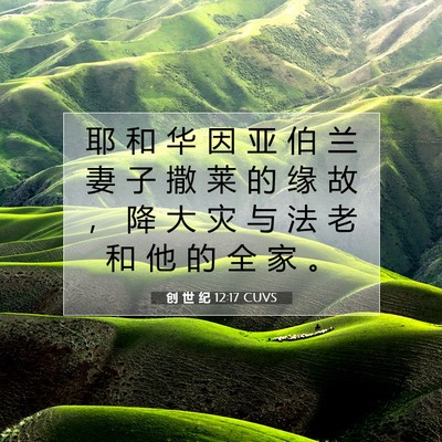 Picture 07 - 创 世 纪 12:17 CUVS - 耶 和 华 因 亚 伯 兰 妻 子 撒 莱 的 - Bible Verse Picture