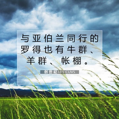 Picture 07 - 创 世 纪 13:5 CUVS - 与 亚 伯 兰 同 行 的 罗 得 也 有 牛 - Bible Verse Picture