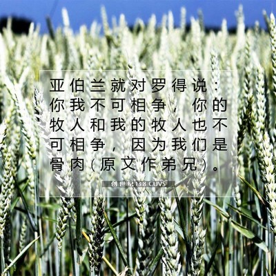Picture 07 - 创 世 纪 13:8 CUVS - 亚 伯 兰 就 对 罗 得 说 ： 你 我 不 - Bible Verse Picture