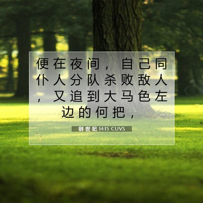 Picture 07 - 创 世 纪 14:15 CUVS - 便 在 夜 间 ， 自 己 同 仆 人 分 队 - Bible Verse Picture