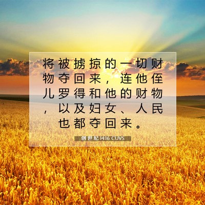 Picture 07 - 创 世 纪 14:16 CUVS - 将 被 掳 掠 的 一 切 财 物 夺 回 来 - Bible Verse Picture