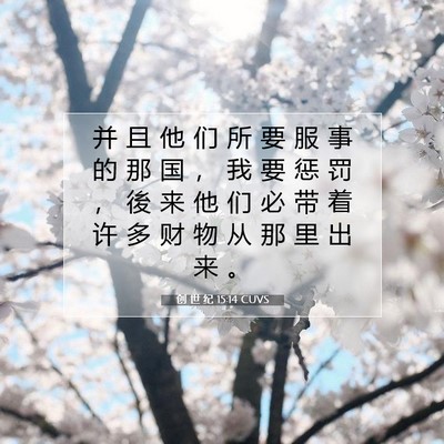 Picture 07 - 创 世 纪 15:14 CUVS - 并 且 他 们 所 要 服 事 的 那 国 ， - Bible Verse Picture