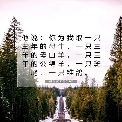Picture 07 - 创 世 纪 15:9 CUVS - 他 说 ： 你 为 我 取 一 只 三 年 的 - Bible Verse Picture