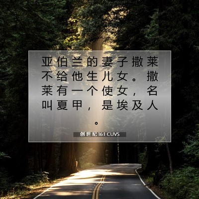 Picture 07 - 创 世 纪 16:1 CUVS - 亚 伯 兰 的 妻 子 撒 莱 不 给 他 生 - Bible Verse Picture